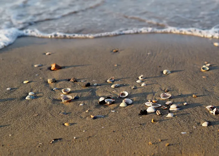 Lovely Ground-floor With Fenced Garden * Bibione